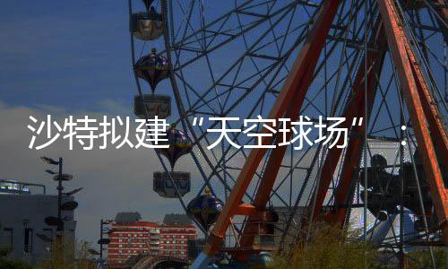 空球空中或在拟建天场界杯举行沙特4世